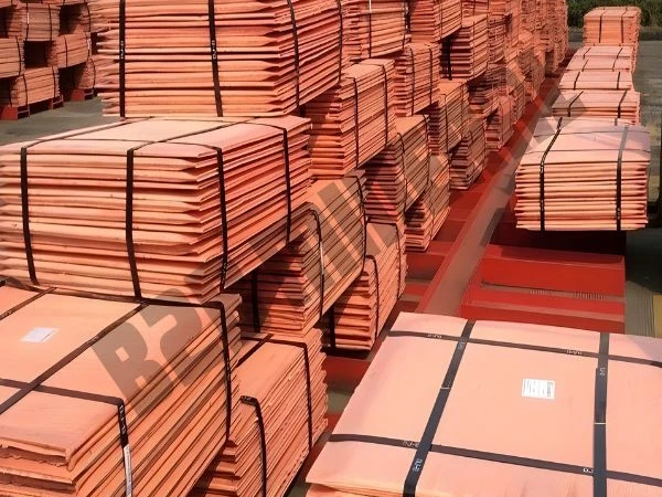 Copper Cathode