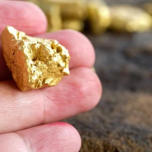 Advanced exploration & JV Opportunity of Gold (Placer + Hard Rock)